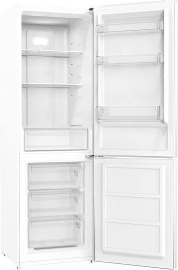 Ψυγείο Finlux FBN291EW No Frost 185x0,60cm Λευκό - Εικόνα 2